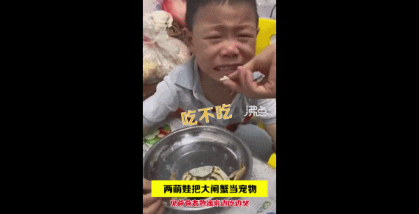 恭喜,这顶流网红终于塌房了