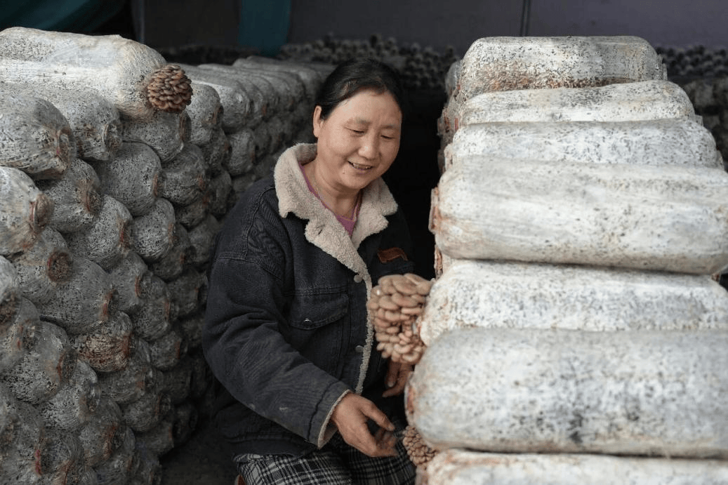 在库尔勒英下乡，有个能致富的“棚”友圈