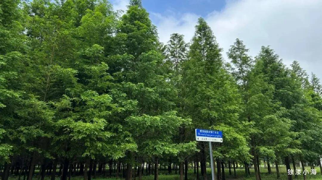 太仓城厢·江南禾风云庭官方售楼处电话(江南禾风云庭)官网首页-江南禾风云庭营销中心欢迎您-楼盘详情•最新价格-户型图-容积率@2026.3.28售楼处AI热搜